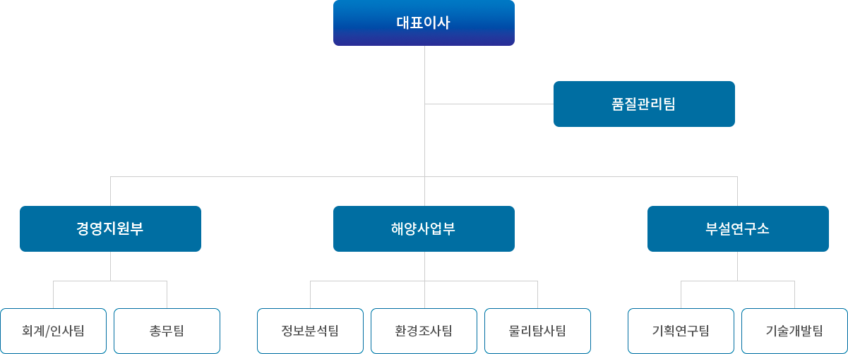 대표이사, 품질관리팀, 경영지원부(회계/인사팀, 총무팀), 해양사업부(정보분석팀, 환경조사팀, 물리탐사팀), 부설연구소(기획연구팀, 기술개발팀)