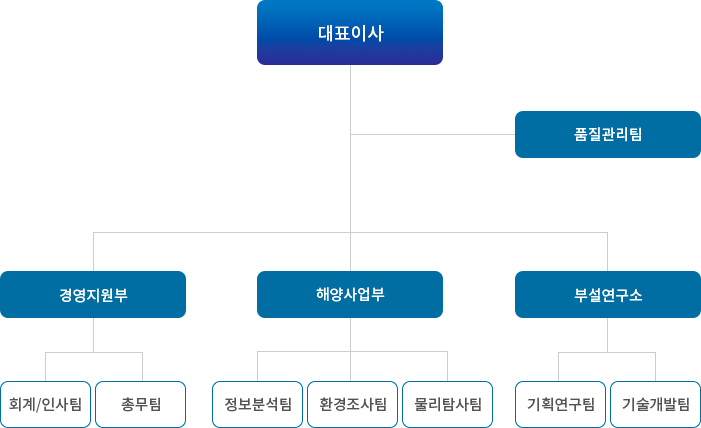 대표이사, 품질관리팀, 경영지원부(회계/인사팀, 총무팀), 해양사업부(정보분석팀, 환경조사팀, 물리탐사팀), 부설연구소(기획연구팀, 기술개발팀)